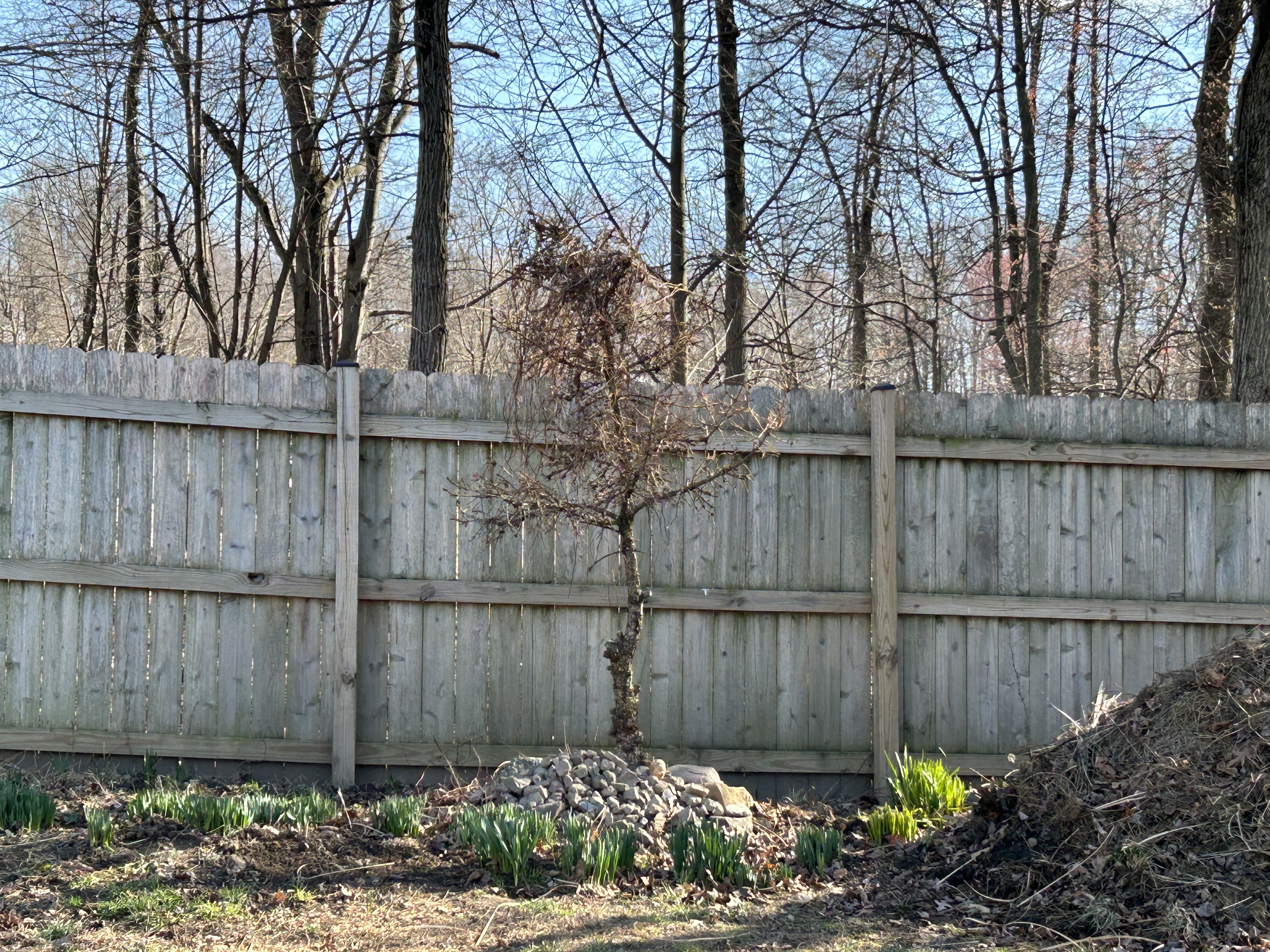 A Memorial for Our Parents